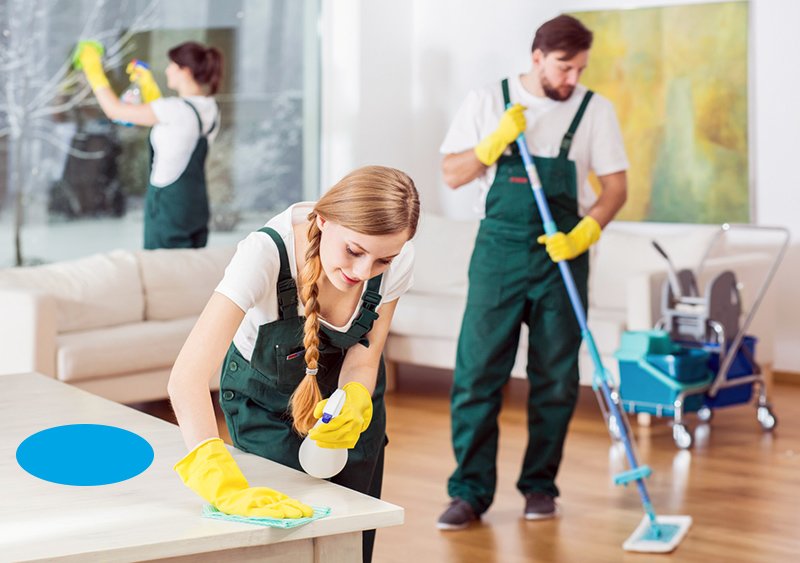 All Pro Clean - Servicii curatenie non stop